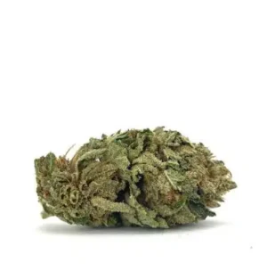 Black Domina cannabis, Black Domina AAA- strain, premium indica cannabis, Cannabis Exotic Dispensary flower, relaxing indica strain, chocolate-flavored cannabis, earthy cannabis, trichome-rich buds, skunky cannabis, evening-use cannabis, stress-relief cannabis, indica-dominant hybrid, lab-tested cannabis, hand-trimmed buds, high-quality cannabis flower, moderate potency cannabis, mellowing cannabis, smooth smoke cannabis, aromatic cannabis flower, adult-use cannabis, discreet cannabis shipping, AAA- cannabis strain, top-shelf cannabis, calming cannabis, nighttime cannabis, cannabis for relaxation, flavorful cannabis flower,