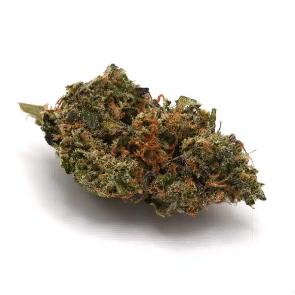 Black Tuna AAA, premium AAA cannabis flower, Cannabis Exotic Dispensary cannabis, lab-tested cannabis flower, high THC hybrid cannabis, diesel-flavored cannabis, potent cannabis flower, discreet cannabis shipping, adult-use cannabis flower