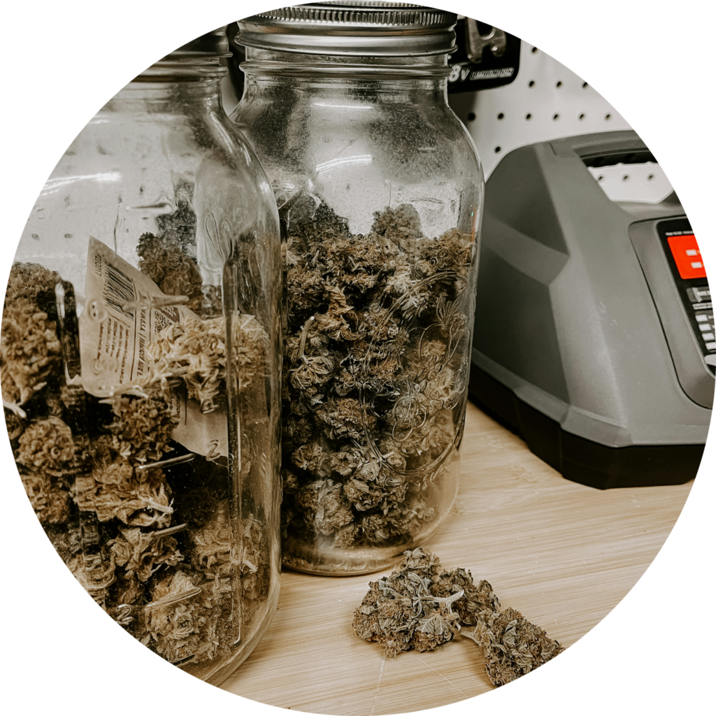 Cannabis strains for sale