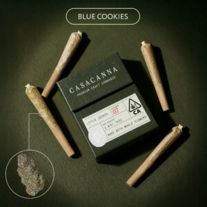 Casacanna Blue Cookies pre-rolls, Blue Cookies 7-pack pre-rolls, whole flower pre-rolls 2.8g, premium cannabis pre-rolls, dessert strain pre-rolls, blueberry cookie cannabis, smooth-burning pre-rolls, balanced effect cannabis, Cannabis Exotic Dispensary pre-rolls