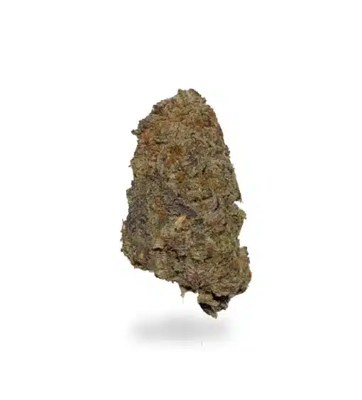 Gas Money cannabis, Gas Money strain, premium cannabis flower, hybrid cannabis strain, Cannabis Exotic Dispensary flower, diesel cannabis strain, fuel-flavored cannabis, trichome-rich buds, balanced hybrid cannabis, discreet cannabis shipping, adult-use cannabis flower,