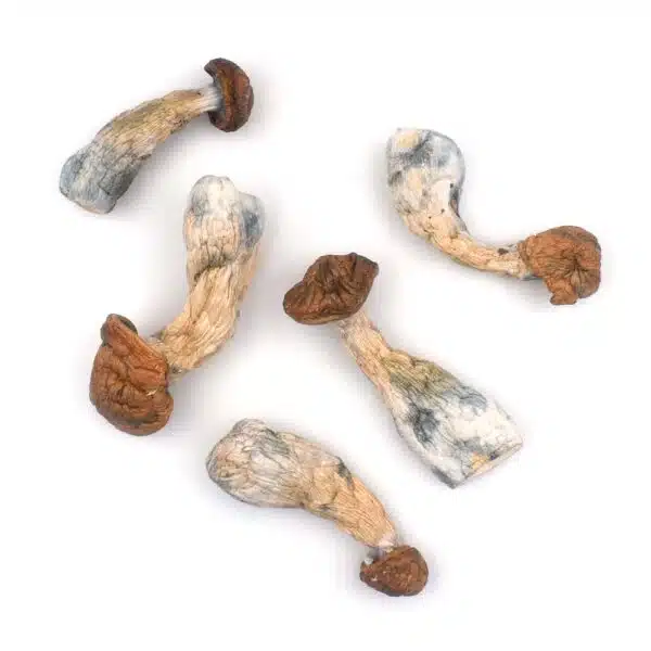 gold member cannabis, discreet cannabis shipping, premium cannabis delivery, odorless cannabis packaging, adult cannabis use, long-lasting cannabis effects, cannabis components, Cannabis Exotic Dispensary