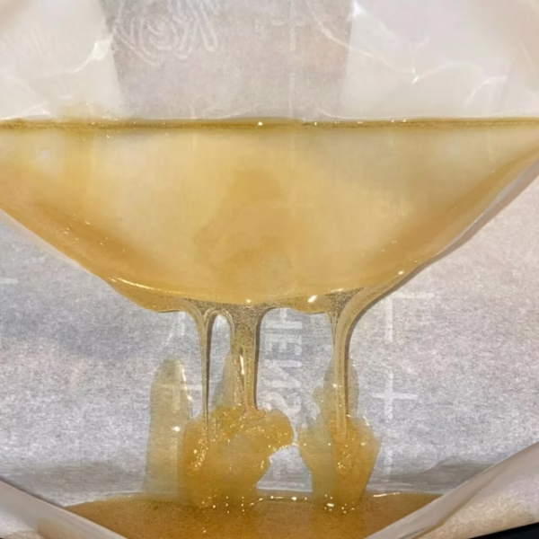 Hash And Flowers live rosin, Honey Banana live rosin, HAF live rosin 1g, solventless cannabis rosin, premium live rosin concentrate, dessert terpene rosin, dab concentrates, Cannabis Exotic Dispensary concentrates