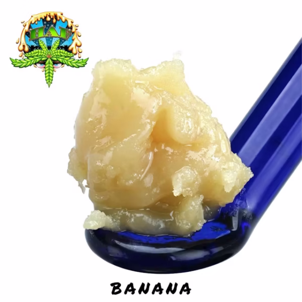 Hash And Flowers live rosin, Banana Punch live rosin, HAF live rosin 1g, solventless cannabis rosin, premium live rosin concentrate, terpene-rich rosin, dab concentrates, Cannabis Exotic Dispensary concentrates