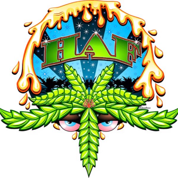 Hash And Flowers live rosin, Satsuma Orange live rosin, HAF live rosin 1g, solventless cannabis rosin, premium live rosin concentrate, citrus terpene rosin, dab concentrates, Cannabis Exotic Dispensary concentrates