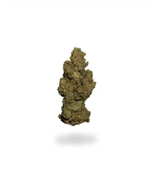 High Society | Premium Cannabis Flower