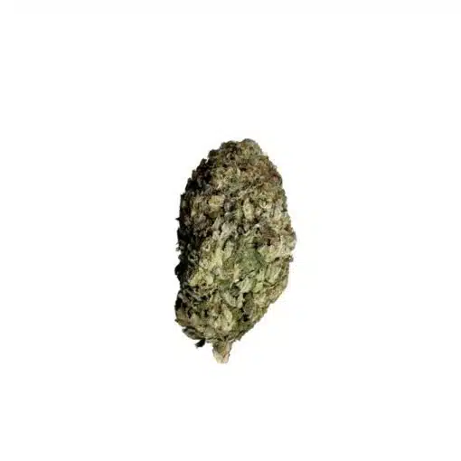 G-13 cannabis, G-13 strain, premium indica cannabis, Cannabis Exotic Dispensary flower, earthy cannabis strain, potent indica cannabis, trichome-rich buds, classic cannabis strain, discreet cannabis shipping, adult-use cannabis flower,