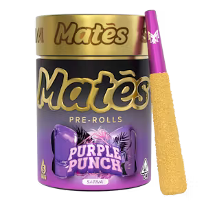 Purple Punch Mates Pre-Rolls