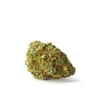 Unicorn Slippers Unicorn Slippers