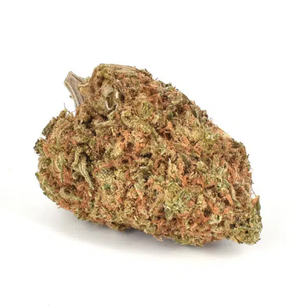 Alaskan Thunder Fuck AAA, premium AAA cannabis flower, Cannabis Exotic Dispensary cannabis, lab-tested cannabis flower, high THC cannabis, potent indica-dominant hybrid, earthy pine cannabis, discreet cannabis shipping, adult-use cannabis flower