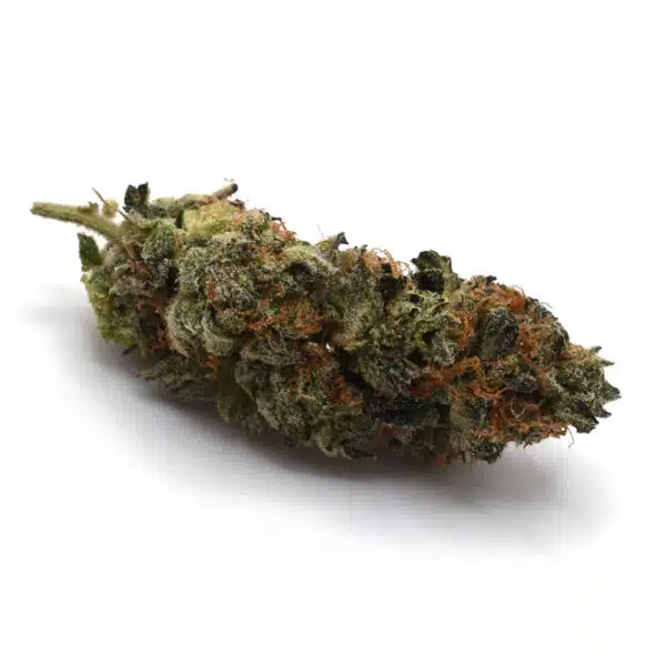Black Lemon Breath AAA, premium AAA cannabis flower, Cannabis Exotic Dispensary cannabis, lab-tested cannabis flower, potent hybrid cannabis, citrus cannabis strain, high THC cannabis flower, discreet cannabis shipping, adult-use cannabis flower