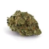 Blue Orca AAAA, Blue Orca cannabis flower, AAAA-grade cannabis flower, ultra-premium cannabis buds, Cannabis Exotic Dispensary flower, top-shelf cannabis strain, terpene-rich cannabis flower, high-potency cannabis buds, trichome-dense flower, premium hybrid cannabis, discreet cannabis shipping, adult-use cannabis flower,