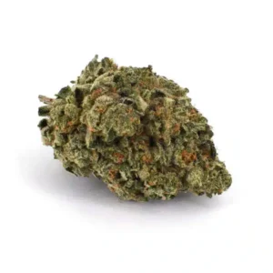 Blue Orca AAAA, Blue Orca cannabis flower, AAAA-grade cannabis flower, ultra-premium cannabis buds, Cannabis Exotic Dispensary flower, top-shelf cannabis strain, terpene-rich cannabis flower, high-potency cannabis buds, trichome-dense flower, premium hybrid cannabis, discreet cannabis shipping, adult-use cannabis flower,