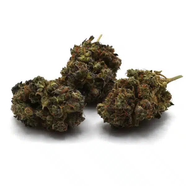 dirty-little-secret-