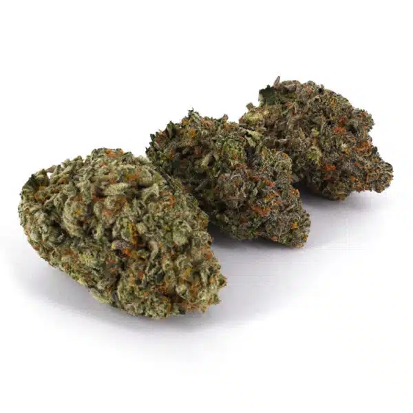 Frosted Gelato AAAA, Frosted Gelato cannabis flower, AAAA-grade cannabis flower, ultra-premium cannabis buds, Cannabis Exotic Dispensary flower, dessert cannabis strain, terpene-rich cannabis flower, high-potency cannabis buds, trichome-heavy flower, premium hybrid cannabis, discreet cannabis shipping, adult-use cannabis flower,