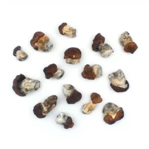 Blue Louie cannabis strain, premium cannabis flower, discreet cannabis shipping, relaxing cannabis effects, adult cannabis use, Cannabis Exotic Dispensary