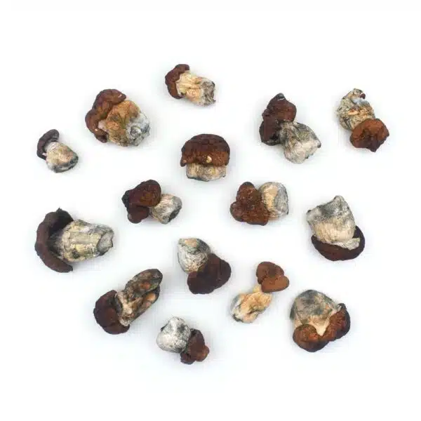 Blue Louie cannabis strain, premium cannabis flower, discreet cannabis shipping, relaxing cannabis effects, adult cannabis use, Cannabis Exotic Dispensary