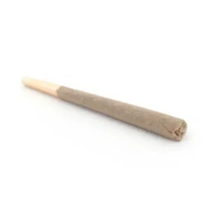 King Louis XIII pre-roll, AAAA pre-rolled joints, house pre-rolls cannabis, premium cannabis pre-rolls, Cannabis Exotic Dispensary pre-rolls, indica pre-roll, high-potency cannabis joint, terpene-rich pre-roll, top-shelf cannabis pre-roll, discreet cannabis shipping, adult-use cannabis pre-roll,