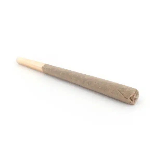 King Louis XIII pre-roll, AAAA pre-rolled joints, house pre-rolls cannabis, premium cannabis pre-rolls, Cannabis Exotic Dispensary pre-rolls, indica pre-roll, high-potency cannabis joint, terpene-rich pre-roll, top-shelf cannabis pre-roll, discreet cannabis shipping, adult-use cannabis pre-roll,