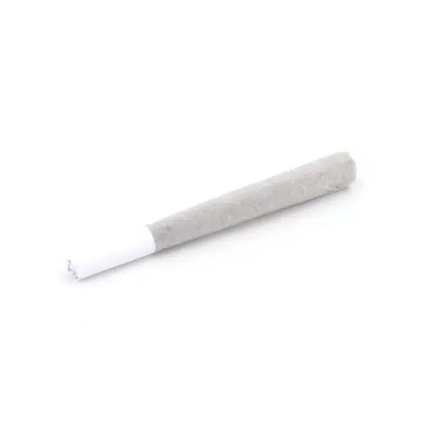 preroll-house-kinglouisexiii-l