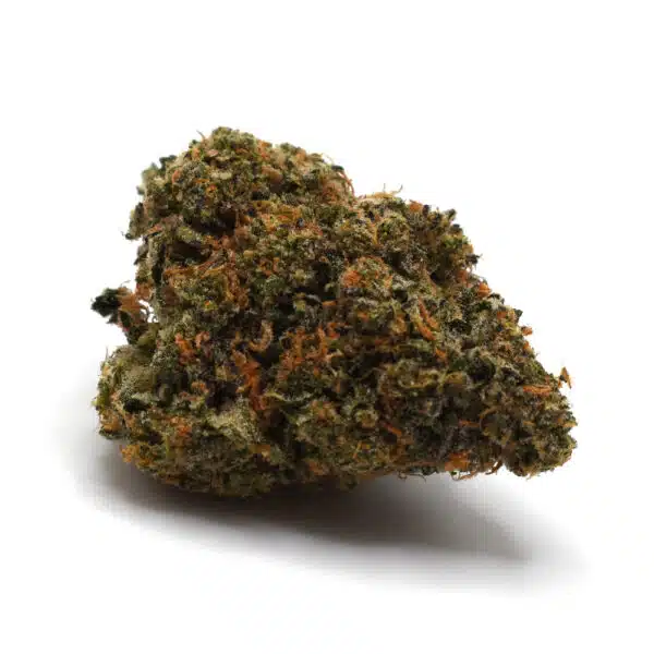 Scotty 2 Hotty (AAA)