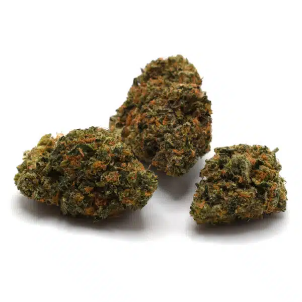 Scotty 2 Hotty (AAA)