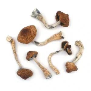 Tidal Wave cannabis strain, premium cannabis flower, discreet cannabis shipping, potent cannabis effects, adult cannabis use, Cannabis Exotic Dispensary