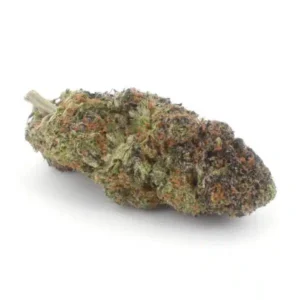 Unicorn Poop AAAA, Unicorn Poop strain, premium AAAA cannabis flower, Cannabis Exotic Dispensary flower, lab-tested cannabis flower, high THC hybrid cannabis, exotic cannabis strain, candy flavored cannabis, fruity gas cannabis, top shelf cannabis buds, luxury cannabis flower, trichome-rich cannabis flower, indoor grown cannabis, uplifting cannabis strain, discreet cannabis shipping, adult-use cannabis flower,