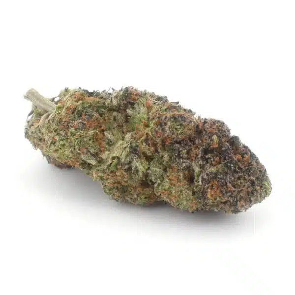 Unicorn Poop AAAA, Unicorn Poop strain, premium AAAA cannabis flower, Cannabis Exotic Dispensary flower, lab-tested cannabis flower, high THC hybrid cannabis, exotic cannabis strain, candy flavored cannabis, fruity gas cannabis, top shelf cannabis buds, luxury cannabis flower, trichome-rich cannabis flower, indoor grown cannabis, uplifting cannabis strain, discreet cannabis shipping, adult-use cannabis flower,