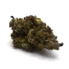 Vice City AA, Vice City strain, AA cannabis flower, budget cannabis flower, Cannabis Exotic Dispensary flower, value cannabis strain, mild THC cannabis, everyday cannabis flower, citrus cannabis strain, affordable cannabis buds, adult-use cannabis flower, discreet cannabis shipping,