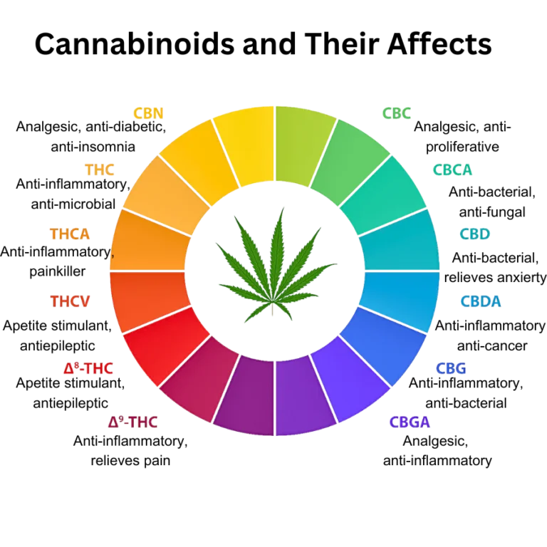 cannabinoids in cannabis, cannabis education, THC and CBD effects, cannabis compounds, endocannabinoid system, how cannabinoids work, cannabis consumer guide, cannabinoid science, responsible cannabis use, cannabis wellness education, terpene and cannabinoid synergy