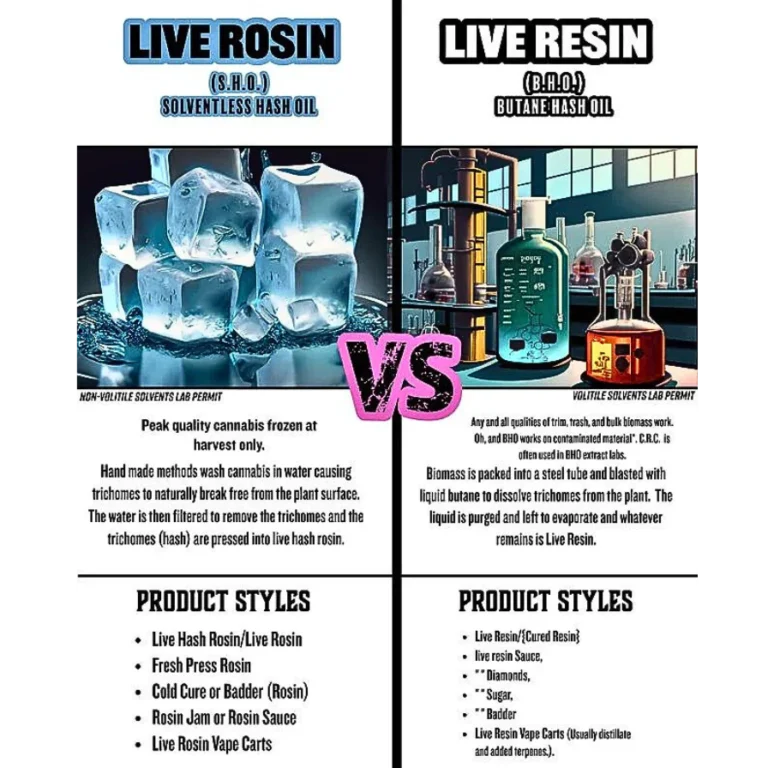Live rosin vs live resin explained. Learn the key differences, benefits, and terpene profiles of premium cannabis concentrates at CED.
