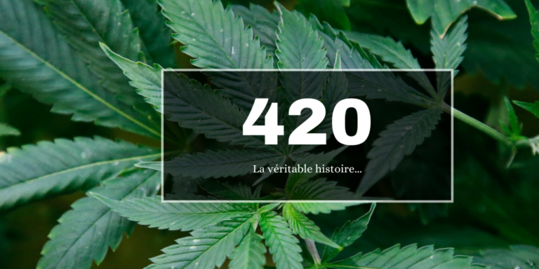 420: The Real Story – Origin, Meaning, and Cannabis Culture