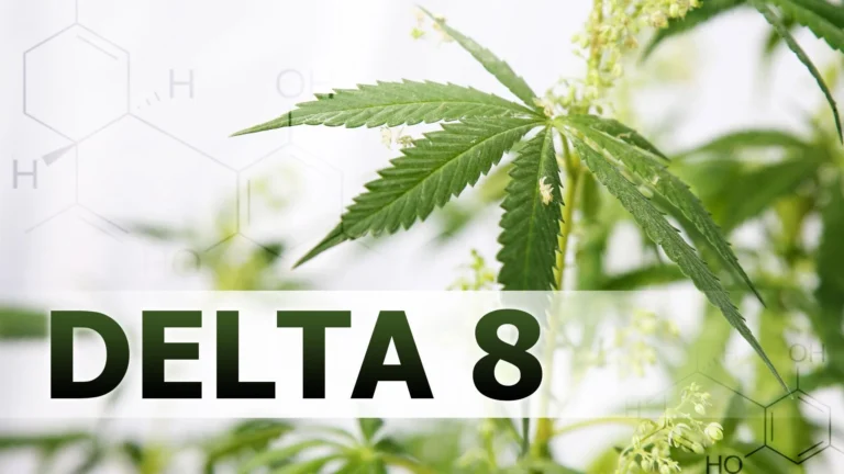 What does delta-8 feel like, is delta-8 legal, delta-8 benefits and risks, hemp-derived delta-8 THC