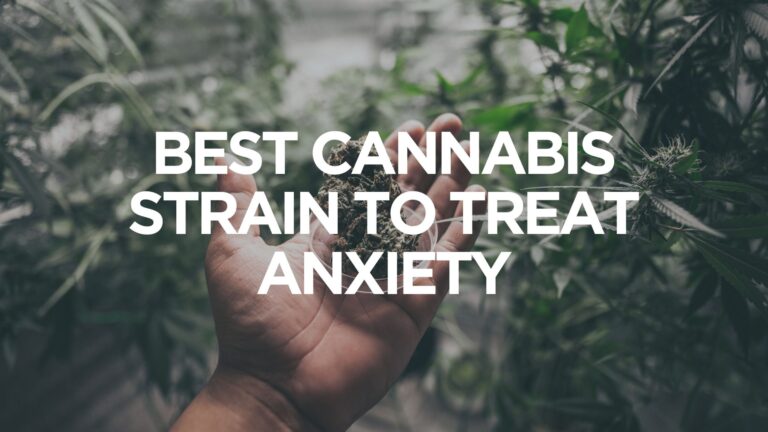 weed strains that help anxiety, best marijuana strains for anxiety relief, CBD and anxiety, calming weed strains