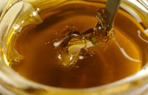 live rosin, solventless cannabis, live rosin benefits, cannabis concentrates, terpene rich extracts, premium cannabis, Cannabis Exotic Dispensary, CED concentrates, live rosin extraction, cannabis education
