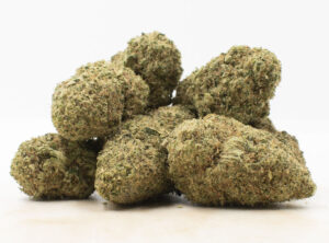 CBD Shark strain, high CBD cannabis, anxiety relief cannabis, CBD-dominant weed, low THC cannabis, calming cannabis strain, stress relief CBD, therapeutic cannabis, CED cannabis strains, premium CBD weed, safe cannabis shipping worldwide