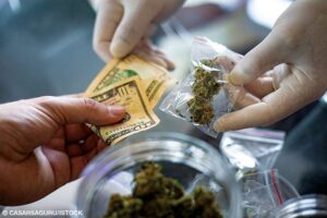 buying weed online, Cannabis Exotic Dispensary, CED cannabis, legal online dispensary, premium cannabis products, online cannabis delivery, lab-tested cannabis