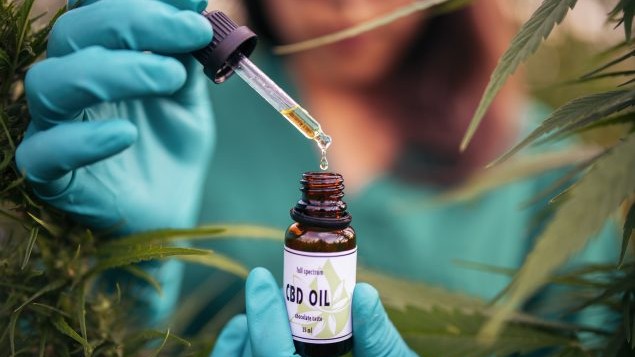 Learn how long CBD oil may take to work for anxiety, including onset times, factors that affect results, and what to expect.