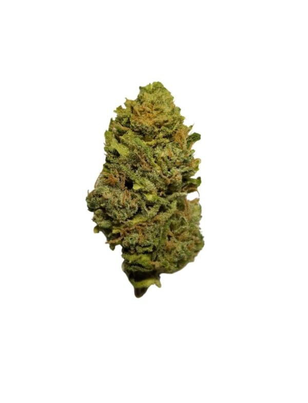 Northern Lights strain, Northern Lights weed, Northern Lights indica, classic indica cannabis, CED Northern Lights, Cannabis Exotic Dispensary indica, relaxing cannabis strain, nighttime weed strain, Afghani indica genetics, sedative cannabis flower, premium indica buds