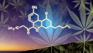 10-OH-HHC, 10-hydroxy HHC, HHC alternative, next generation cannabinoids, hydrogenated cannabinoids, emerging cannabinoids, hemp derived cannabinoids, cannabinoid innovation, modern cannabis compounds, HHC comparison, advanced cannabinoids, psychoactive cannabinoids, cannabinoid education, new hemp compounds